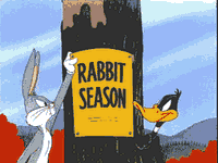 pic for duck or rabbit season
